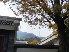 -阳台山自然风景区