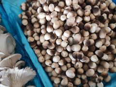 -江杨农产品批发市场