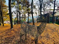 -大塘金香草谷