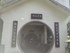 -重庆彩云湖湿地公园