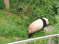 -沈阳森林动物园