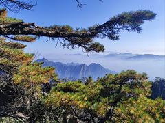 -黄山风景区