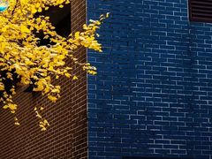 -四川大学(华西校区)