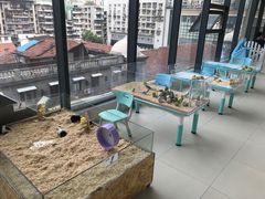 -怪兽屋·羊驼·猫咖·狗咖(俊华广场店)