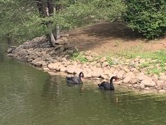 -长白岛森林公园