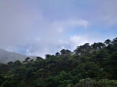 -苍山感通索道