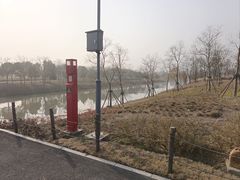 -上海滨江森林公园