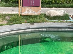 -白桦林温泉谷