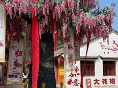 -大槐树寻根祭祖园