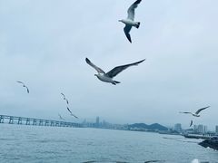 -星海广场