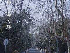 -八大关景区