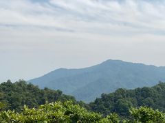 -青城山