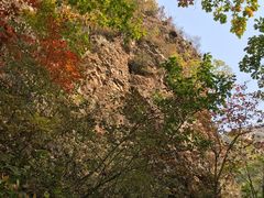-天女山森林公园