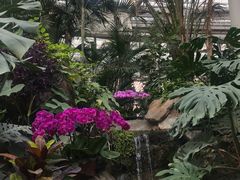 -郑州植物园
