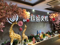 -海底捞火锅(龙茗路店)