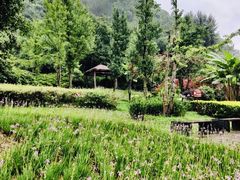 -贵阳市花溪国家城市湿地公园