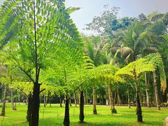 -中国科学院西双版纳热带植物园