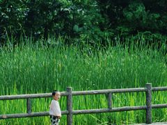 -成都市活水公园