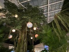 -渡娘火锅(大兴大悦春风里店)