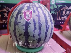 -双福水果批发市场