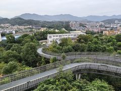 -福道