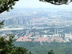 -紫金山山顶公园