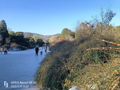 -国家植物园南园
