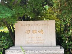 -习家池