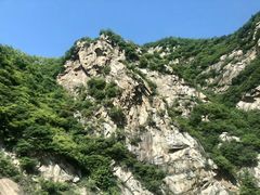 -王顺山国家森林公园