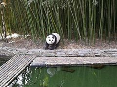 -竹泉村旅游度假区