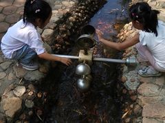 -北戴河集发农业梦想王国