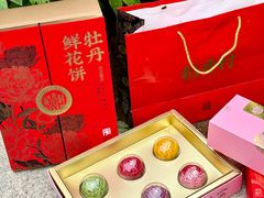 -曹州牡丹园