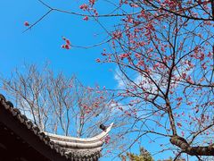 -杭州西子湖四季酒店-WL BISTRO西湖餐厅(灵隐路店)