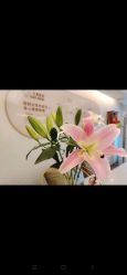 -天使妈妈产后康复中心(万宝店)