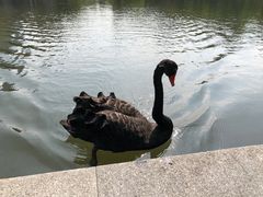 -杭州师范大学(下沙校区)