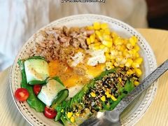 牛油果金枪鱼海苔饭-251#coffee roasters(沿河东路店)