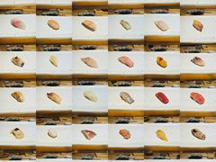 -镹·鱼料理  国产鱼使用店