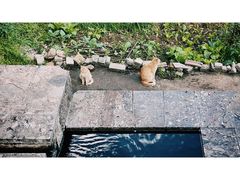 -田德能咖啡博物馆