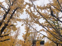 -百林公园-两江幸福广场