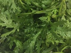 -九毛九西北菜(盈信广场店)