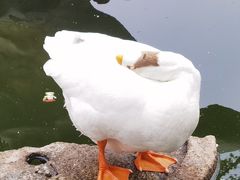 -龙华寺