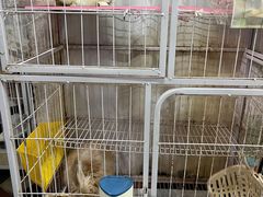 -颜记糖水铺子