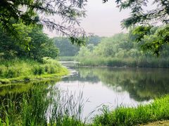 -尚贤河湿地