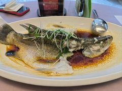 -东方御宴海鲜酒楼(棕泉酒店)