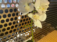 -九锅一堂酸菜鱼(学府凯德店)