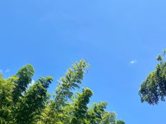 -蜀南竹海景区