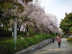 -花溪公园