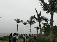 -野狸岛