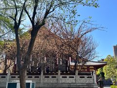 -天龙宝严素食馆(大兴善寺店)