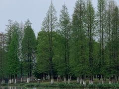 -艾溪湖湿地公园